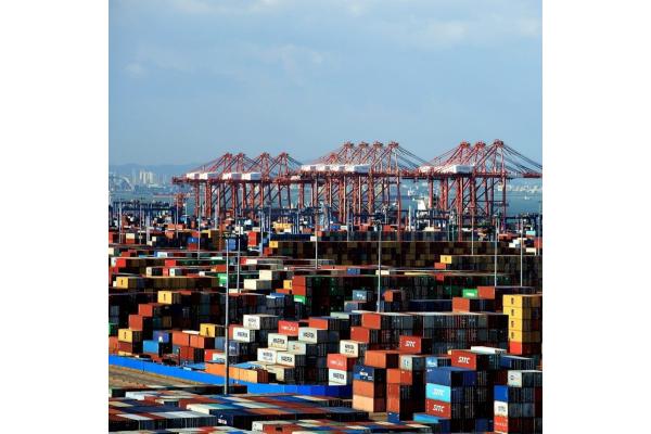 To Usa Canada Lcl Freight Forwarder With 15-30 Days Transit Time