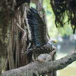 Small Metal Eagle Garden Ornament Statue Lightweight And Vivid for sale