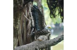 China Small Metal Eagle Garden Ornament Statue Lightweight And Vivid supplier