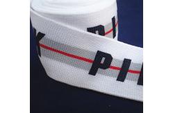 China High Strength Jacquard 2cm Woven Elastic Webbing supplier