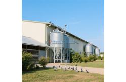 China Customized Steel Structure Poultry House Fire Resistant For Dairy Farm supplier