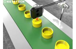 China Inspection System For The Quality Control Of Plastic Caps And Closures supplier