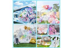 China Customized Inflatable Bubble House supplier