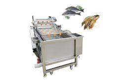 China Ozone Bubble Chili Raisin 500kg/h Mango Washing Machine supplier