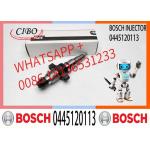 High Quality Diesel Fuel Injector 0445120255, 044512010, 0445120113