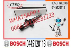 China High Quality Diesel Fuel Injector 0445120255, 044512010, 0445120113 supplier