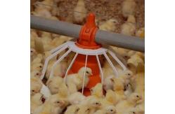 China Portable Galvanized 450kg Chain Feeder System Poultry supplier