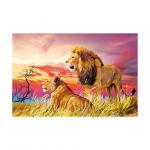 PET 50*70cm 3D Lenticular Pictures , Custom 3d Lenticular Photo With Frame for sale