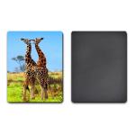 UV Offset Printing Lenticular 3D Fridge Magnets For Gift , Printed Fridge Magnets for sale