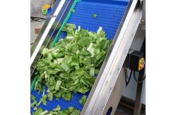 China 1.5 Tons / Hour Fruit And Vegetable Processing Line Root Brush Washing supplier
