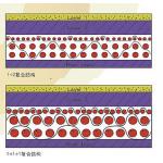 Domestic Three Layer Paper Machine Cloth Needle Punched Felt Custom Made for sale