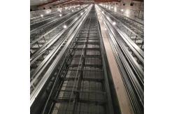 China Multi Tier Automatic Poultry Feeding System For Broiler 1800x1200x410mm Size supplier