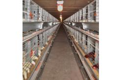China Convenient Feeding Smooth Drainage Prefabricated Steel Structure Chicken House supplier