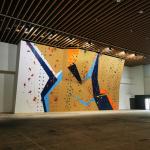 Customizable Indoor Climbing Wall Automatic Protector With Regular Maintenance for sale