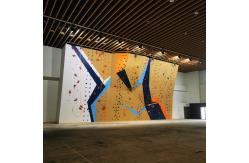 China Customizable Indoor Climbing Wall Automatic Protector With Regular Maintenance supplier