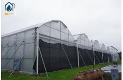 China Large Scale Hydroponics Multi Span Greenhouse For Modern Farmers supplier