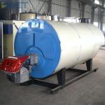 WNS Series 1.25MPA 500kg/H Household Gas Boilers for sale