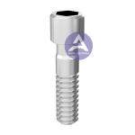 C-Tech Esthetic Line® Dental Implant Abutment Titanium Screw for sale