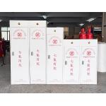 Gas Fm 200 Fire Suppression System For Server Room Hfc227ea Fm200 Portable Fire Extinguisher Cabinet for sale