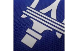 China Custom Silicone Iron Press Printed Labels Heat Transfer Label Heat Transfer Vinyl supplier
