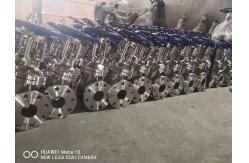 China Low Pressure Bellow Seal Stainless Steel Globe Valve supplier