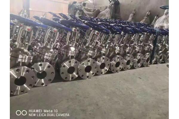 Low Pressure Bellow Seal Stainless Steel Globe Valve