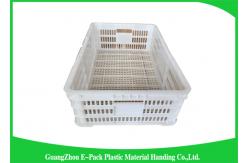 China Household Plastic Food Crates Foldable Folding Solid For Fruit And Vegetable supplier