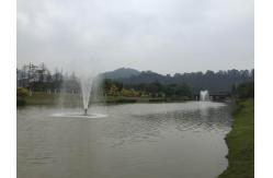 China 6m High Spray 1000mm SS304 Floating Musical Fountain Project supplier