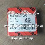 Nylon Cage Gcr15 Steel Material FAG NJ2203E.TVP2 Single Row Cylindrical Roller Bearing 17 x 40 x 16 mm for sale