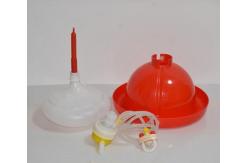 China Poultry Drinking Lines System 80pcs Chicken Feeders And Drinkers supplier
