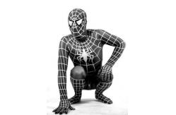China Lycra Spandex Spiderman Halloween Adult Costumes Full Body Catsuit Zentai supplier