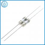 125mA - 15A 125V 250V Slow Blow Ceramic Tube Fuse 3.6x10mm for sale