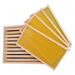 20mm Thickness Plastic Frame Complete Bee Hive Kit With Foundation for sale