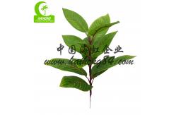 China Factory Handmade Hot Selling Popular Artificial Zebra Plant With Pot supplier