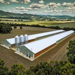 Customized Galvanized Steel Chicken Shed for Poultry Farming for sale