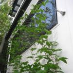Eco Green Wall 1.2mm Stainless Steel Wire Rope Mesh For Green Facade for sale