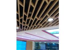 China Fashion Customized Aluminum Metal Ceiling With Circular Curve Wave Shape Suspended supplier
