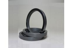 China RBSIC Silicon Carbide Mechanical Seal Ring Stationary supplier