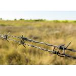 Use Of Prison Walls 12.5 Gauge  Double Twisted  Galvanized Barbed Wire for sale