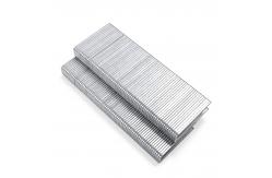 China 14/38 Galvanized Pneumatic Staples Special Fasteners for Furniture Use supplier