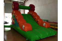 China Small Size Inflatable Caterpillar Dry Slide With Digital Printing Eco - Friendly supplier
