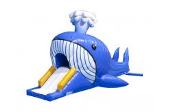 China Aquatic Park Games Jumbo Inflatable Dolphin Water Slide With Obstacle Tunnle supplier