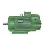 YZR112M YZR,YZ series 6 Poles metallurgical and crane 3 Phase Electric Motors IEC 72 for sale