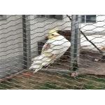 Stainless Steel Bird Aviary Wire Mesh 7*7 7*19 With Good Perspective