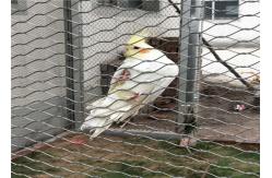 China Stainless Steel Bird Aviary Wire Mesh 7*7 7*19 With Good Perspective supplier