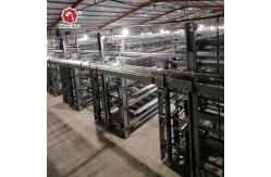 China Modern HDG Chicken Egg Layer Cages H Shaped Small Stacked Layer Chicken Cage supplier