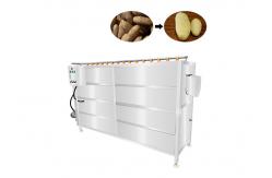 China 2000kg/h SUS304 Vegetable Screw Peeling Washing Machine supplier