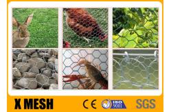 China Plain Weave Poultry Mesh Netting Chicken Wire Mesh Fence 1.5m X 25m supplier