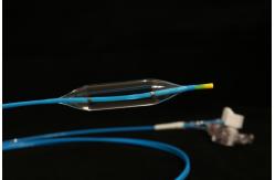 China OEM ODM Digestive Tract Dilation Balloon Catheter Working Length 2300mm supplier