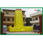 Big Funny High Quality Climbing Wall Inflatable Water Toy For Fun for sale